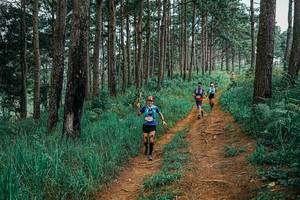 BIB: 
                            <button type="button" onclick="openModal(25659855)" class="btn btn-primary btn-sm float-right btn-popup" data-toggle="modal" data-target=".modal-high-quality">
                        <i class="fas fa-shopping-cart"></i> Add to Cart
                    </button>
                                            <button type="button" onclick="isThisMe(25659855, true)" class="btn btn-success btn-sm float-right btn-popup btn-isme hidden" data-toggle="tooltip" data-placement="bottom" title="นี่คือรูปของคุณใช่ไหม คลิกที่นี่เพื่อเอาเข้าอัลบั้ม">
                        <i class="fas fa-plus"></i> Add to album
                    </button>
                    <button type="button" onclick="isThisMe(25659855, false)" class="btn btn-warning btn-sm float-right btn-popup btn-isnotme hidden">
                        <i class="fas fa-ban"></i> Remove from album
                    </button>